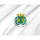 Flag of Mérida, Yucatan, Patriotic Flags, Unique Design Print, Flags for Indoor & Outdoor Use - Imagine 2