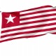 Colonel James Long's Flag for Indoor & Outdoor Use - Imagine 1