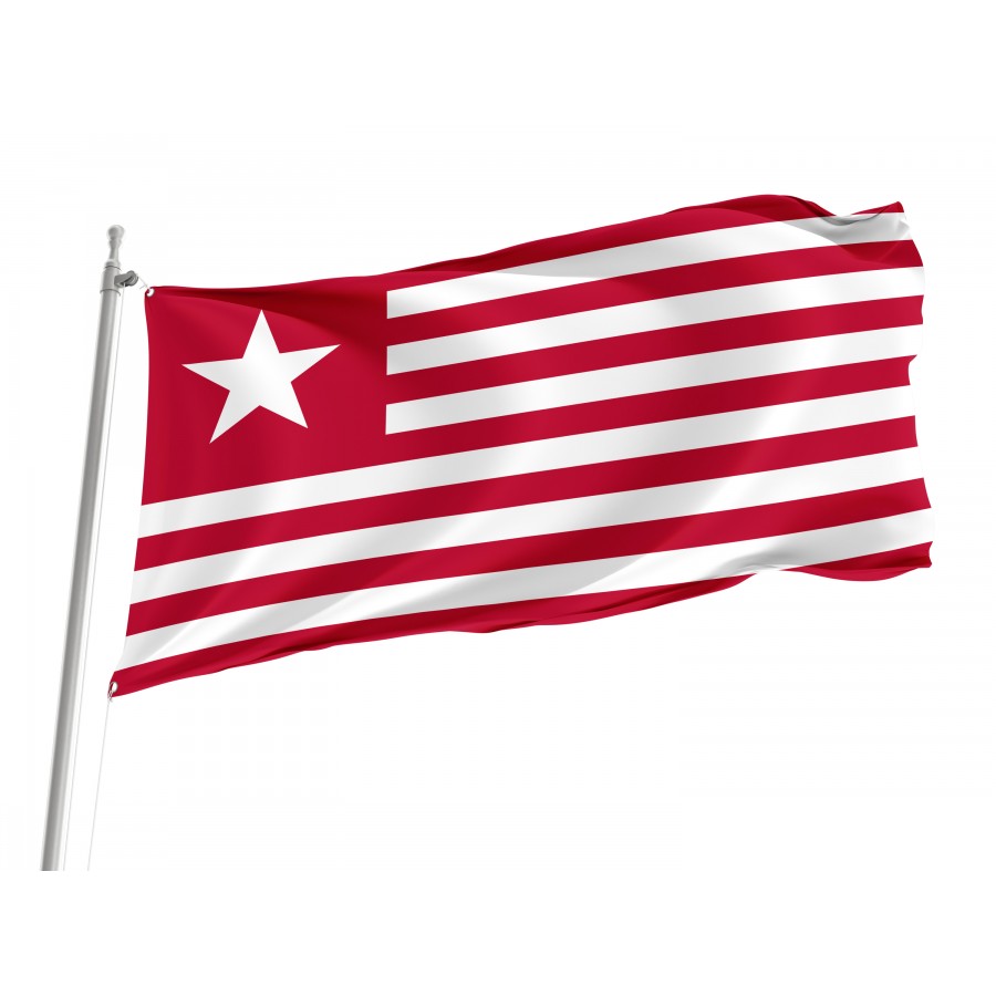 Colonel James Long's Flag, Patriotic Flags, Unique Design Print, Flags for Indoor & Outdoor Use