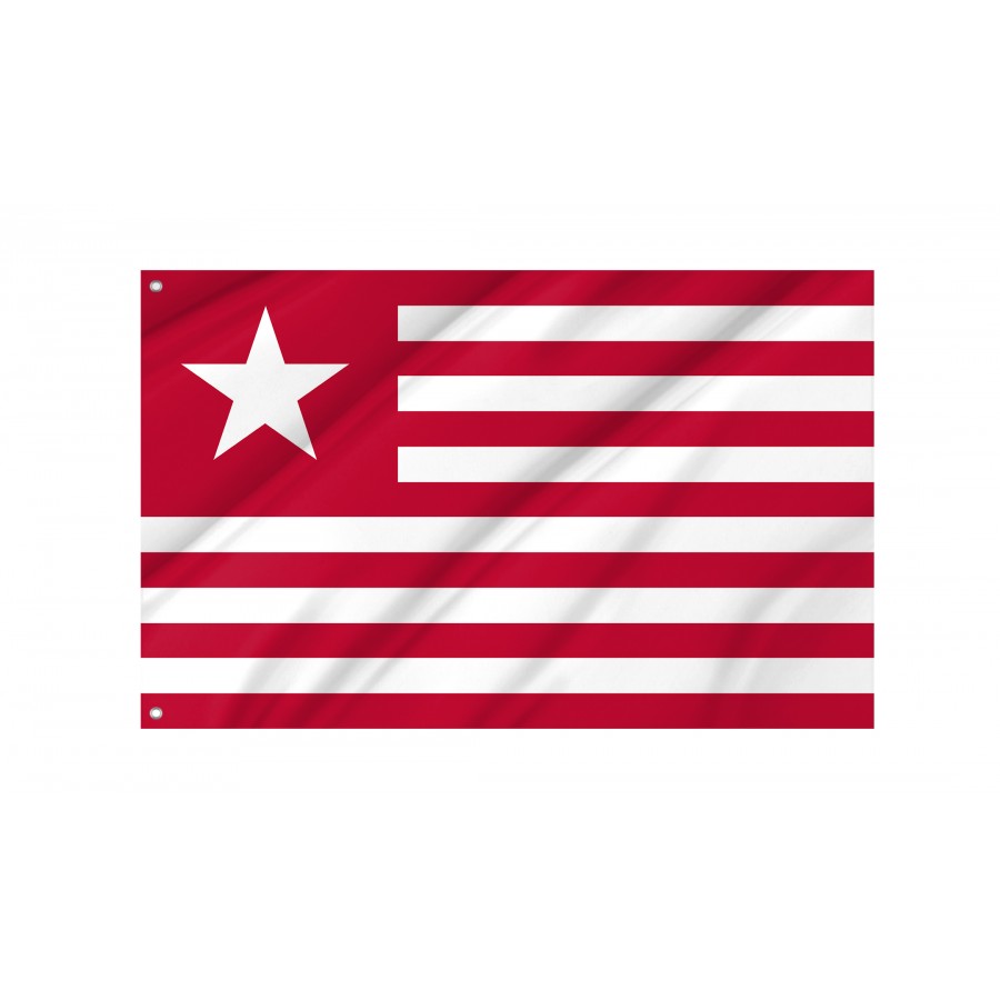 Colonel James Long's Flag, Patriotic Flags, Unique Design Print, Flags for Indoor & Outdoor Use