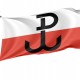 Armia Krajowa Flag for Indoor & Outdoor Use - Imagine 1