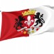 Flag of Lille Coat of Arms, Patriotic Flags, Unique Design Print, Flags for Indoor & Outdoor Use - Imagine 1
