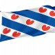 Flag of Friesland, Patriotic Flags, Unique Design Print, Flags for Indoor & Outdoor Use - Imagine 1