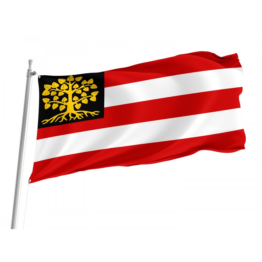 Flag of Hertogenbosch, Patriotic Flags, Unique Design Print, Flags for Indoor & Outdoor Use