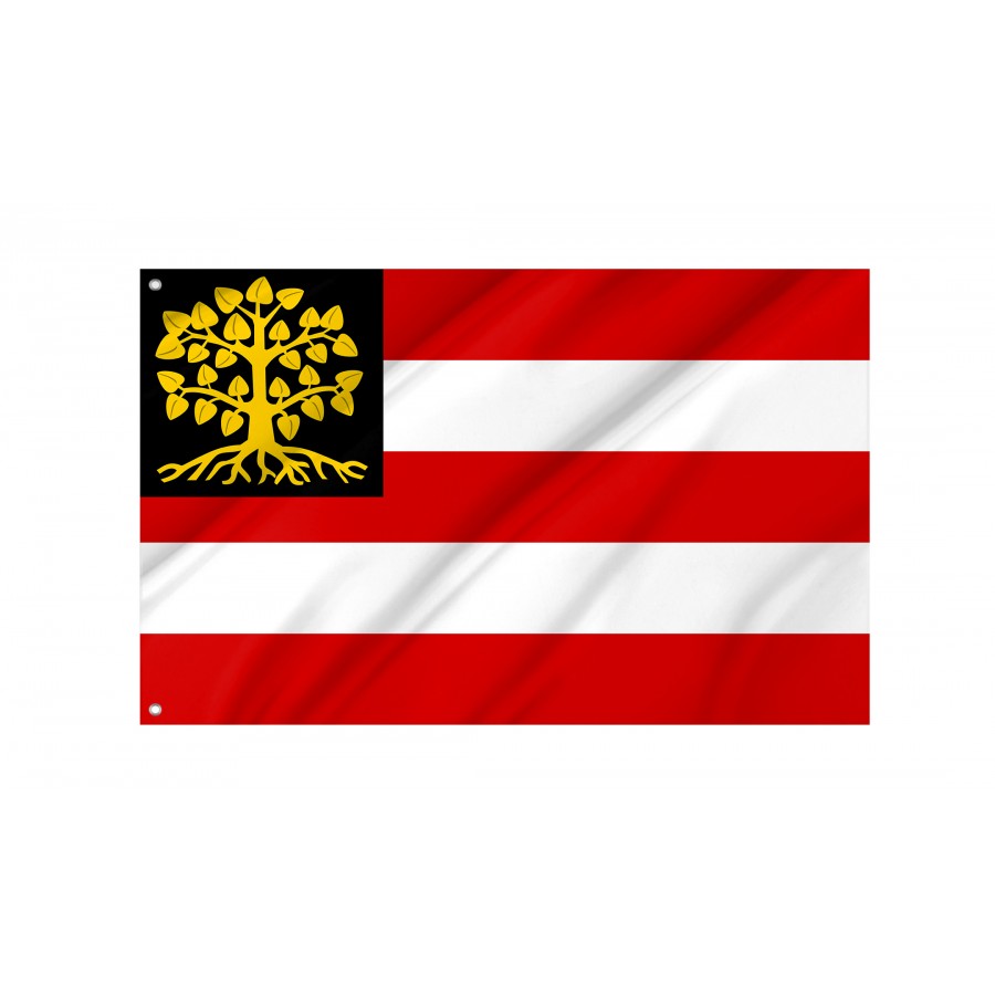 Flag of Hertogenbosch, Patriotic Flags, Unique Design Print, Flags for Indoor & Outdoor Use