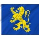 Flag of Leeuwarden, Patriotic Flags, Unique Design Print, Flags for Indoor & Outdoor Use - Imagine 2
