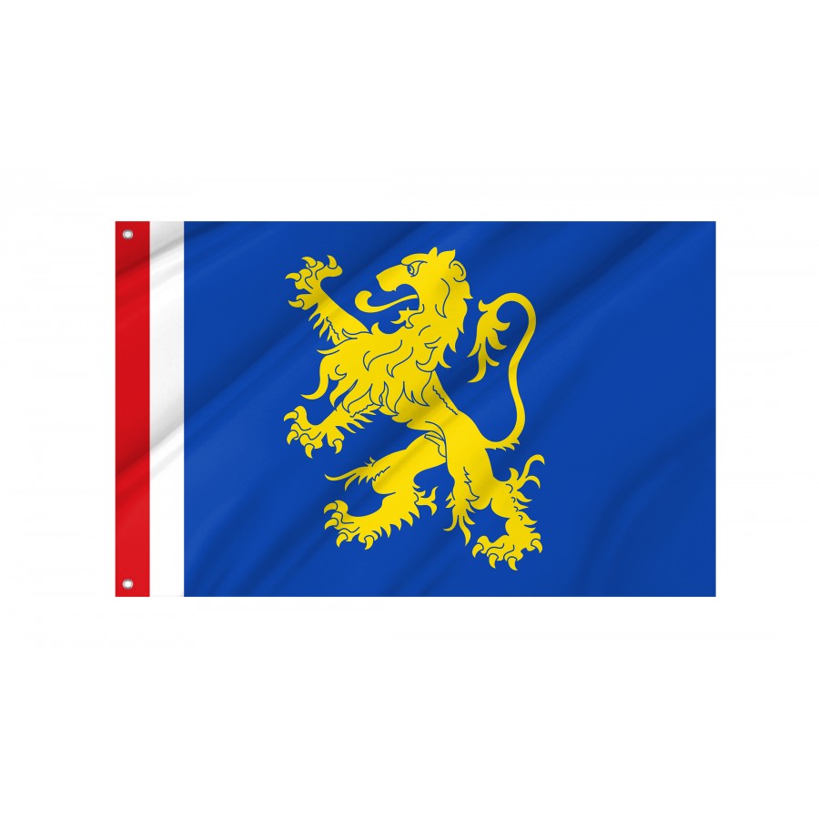 Flag of Leeuwarden, Patriotic Flags, Unique Design Print, Flags for Indoor & Outdoor Use