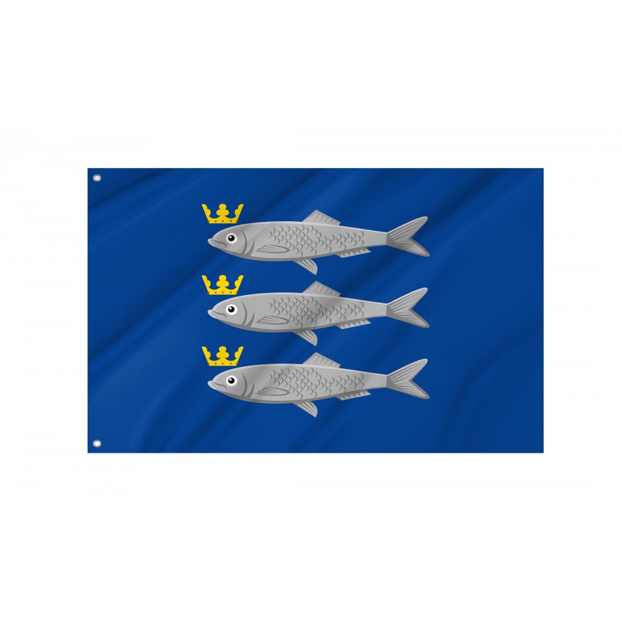 Flag of Scheveningen, Patriotic Flags, Unique Design Print, Flags for Indoor & Outdoor Use