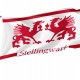 Flag of Stellingwerven, Patriotic Flags, Unique Design Print, Flags for Indoor & Outdoor Use - Imagine 1