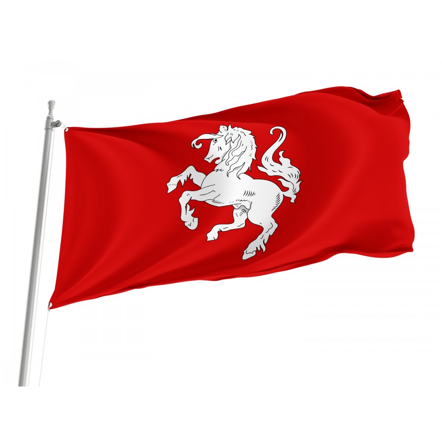 Flag of Twente, Patriotic Flags, Unique Design Print, Flags for Indoor & Outdoor Use