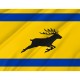 Flag of Veluwe, Patriotic Flags, Unique Design Print, Flags for Indoor & Outdoor Use - Imagine 2