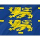 West Friesland Flag for Indoor & Outdoor Use - Imagine 2
