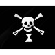 Emanuel Wynne Pirate Flag - Imagine 2