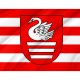 Flag of Bilgoraj, Patriotic Flags, Unique Design Print, Flags for Indoor & Outdoor Use - Imagine 2