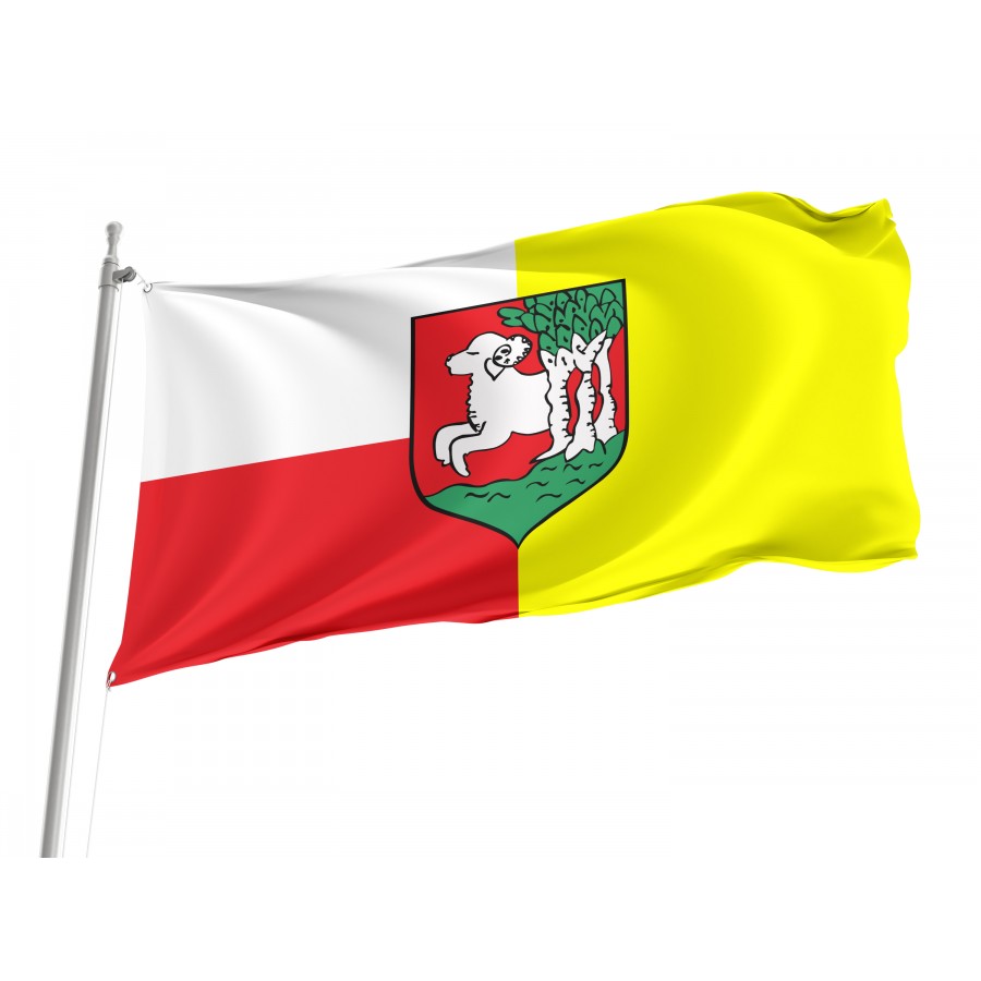 Flag Of Bojanowo, Patriotic Flags, Unique Design Print, Flags For Indoor & Outdoor Use - High Quality Poland for Indoor and Outdoor Use