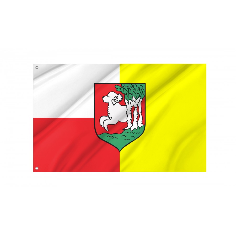 Flag Of Bojanowo, Patriotic Flags, Unique Design Print, Flags For Indoor & Outdoor Use - High Quality Poland for Indoor and Outdoor Use