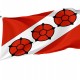 Flag of Brzeg Dolny, Patriotic Flags, Unique Design Print, Flags for Indoor & Outdoor Use - Imagine 1