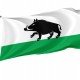 Flag of Lobzenica, Patriotic Flags, Unique Design Print, Flags for Indoor & Outdoor Use - Imagine 1
