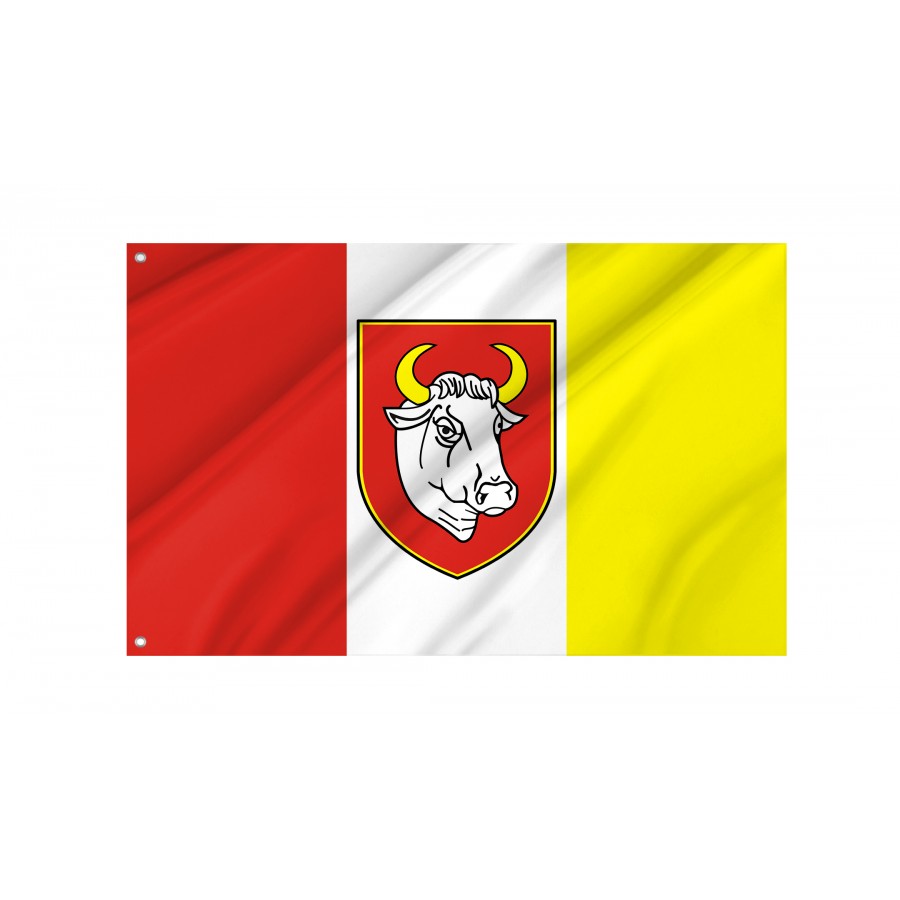 Flag Of Czluchow, Patriotic Flags, Unique Design Print, Flags For Indoor & Outdoor Use - High Quality Poland for Indoor and Outdoor Use