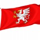 Flag of Debica, Patriotic Flags, Unique Design Print, Flags for Indoor & Outdoor Use - Imagine 1