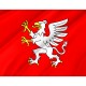Flag of Debica, Patriotic Flags, Unique Design Print, Flags for Indoor & Outdoor Use - Imagine 2