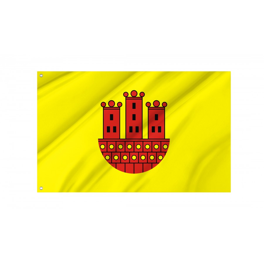 Flag Of Dzialoszyn, Patriotic Flags, Unique Design Print, Flags For Indoor & Outdoor Use - High Quality Poland for Indoor and Outdoor Use