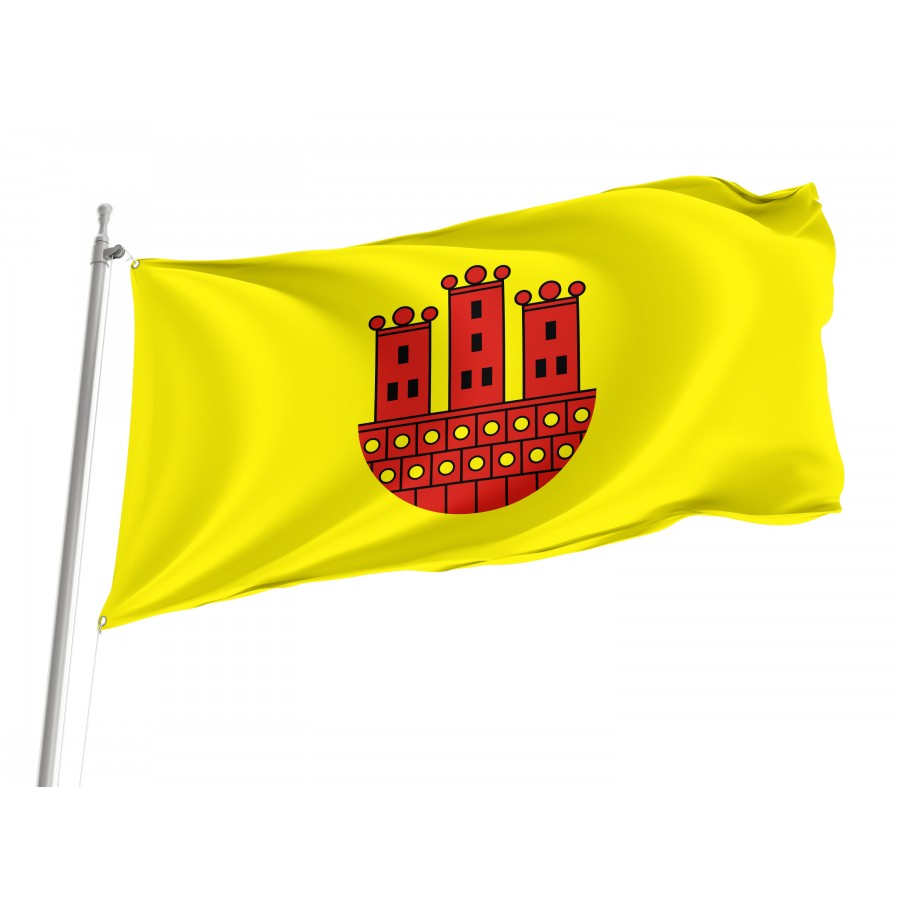 Flag Of Dzialoszyn, Patriotic Flags, Unique Design Print, Flags For Indoor & Outdoor Use - High Quality Poland for Indoor and Outdoor Use