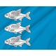 Flag of Gizycko, Patriotic Flags, Unique Design Print, Flags for Indoor & Outdoor Use - Imagine 2