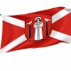 Flag of Golub-Dobrzyn, Patriotic Flags, Unique Design Print, Flags for Indoor & Outdoor Use - Imagine 1