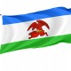 Flag of Kalisz Pomorski, Patriotic Flags, Unique Design Print, Flags for Indoor & Outdoor Use - Imagine 1