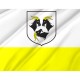 Flag of Kedzierzyn Kozle, Patriotic Flags, Unique Design Print, Flags for Indoor & Outdoor Use - Imagine 2