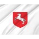 Flag of Konin, Patriotic Flags, Unique Design Print, Flags for Indoor & Outdoor Use - Imagine 2