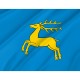 Flag of Kozienice, Patriotic Flags, Unique Design Print, Flags for Indoor & Outdoor Use - Imagine 2
