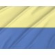Flag of Lesnica, Patriotic Flags, Unique Design Print, Flags for Indoor & Outdoor Use - Imagine 2