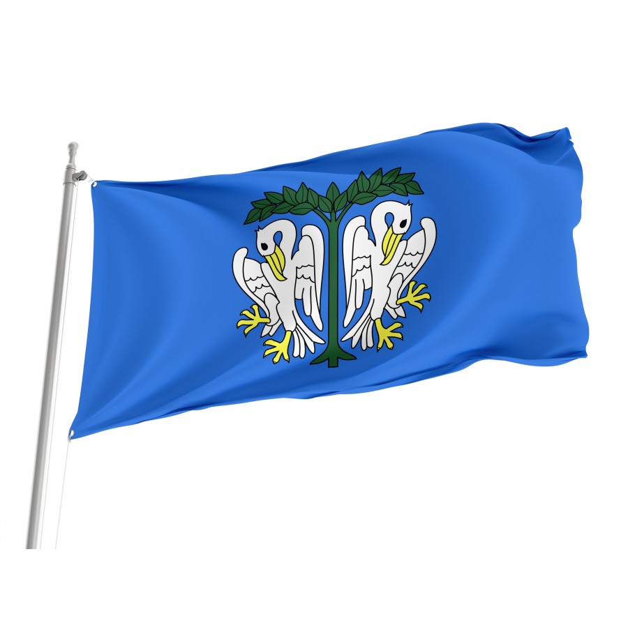 Flag Of Lowicz, Patriotic Flags, Unique Design Print, Flags For Indoor & Outdoor Use - High Quality Poland for Indoor and Outdoor Use