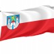 Flag of Maszewo, Patriotic Flags, Unique Design Print, Flags for Indoor & Outdoor Use - Imagine 1