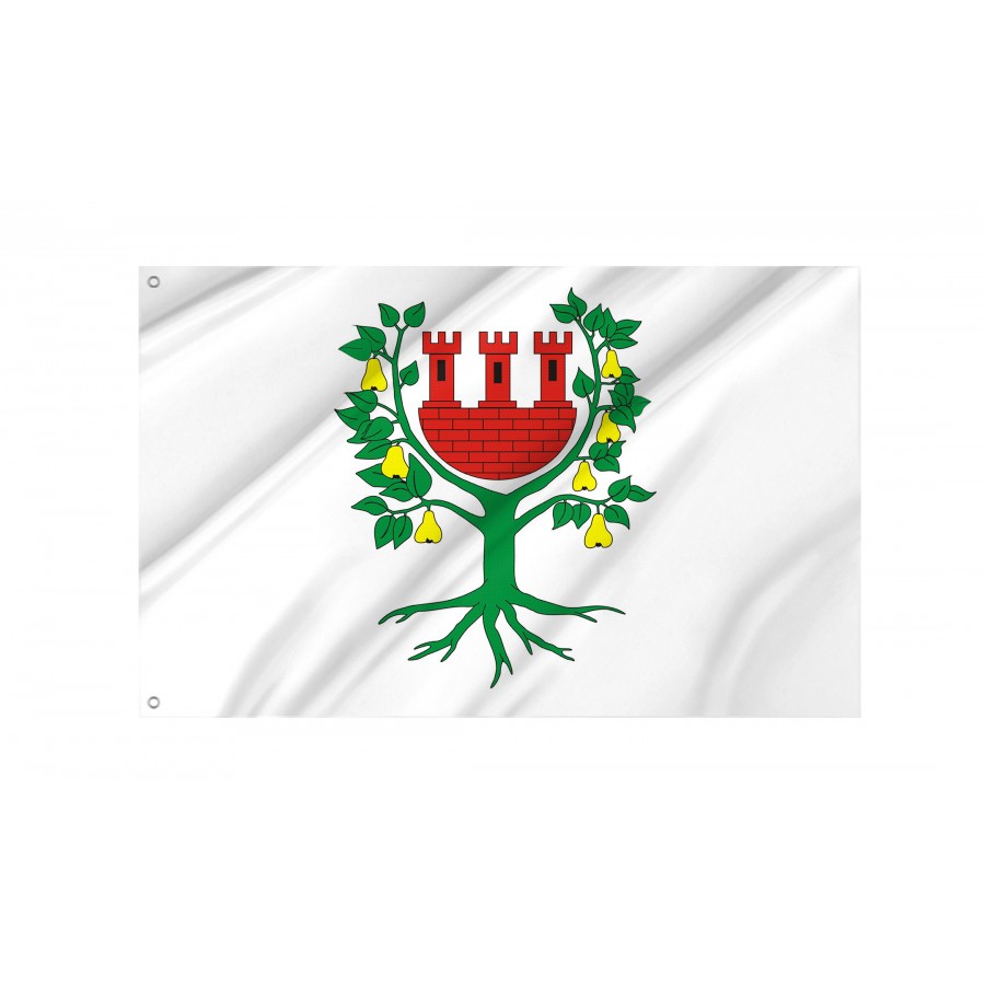 Flag Of Miedzychod, Patriotic Flags, Unique Design Print, Flags For Indoor & Outdoor Use - High Quality Poland for Indoor and Outdoor Use