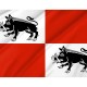 Flag of Mieroszow, Patriotic Flags, Unique Design Print, Flags for Indoor & Outdoor Use - Imagine 2