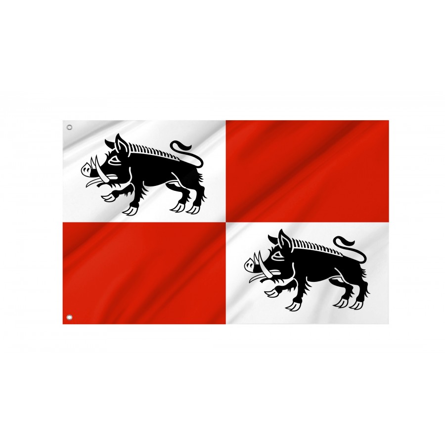Flag Of Mieroszow, Patriotic Flags, Unique Design Print, Flags For Indoor & Outdoor Use - High Quality Poland for Indoor and Outdoor Use
