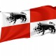 Flag of Mieroszow, Patriotic Flags, Unique Design Print, Flags for Indoor & Outdoor Use - Imagine 1