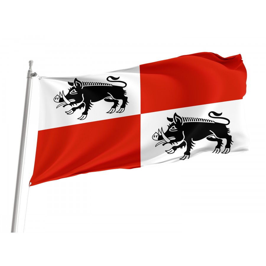 Flag Of Mieroszow, Patriotic Flags, Unique Design Print, Flags For Indoor & Outdoor Use - High Quality Poland for Indoor and Outdoor Use