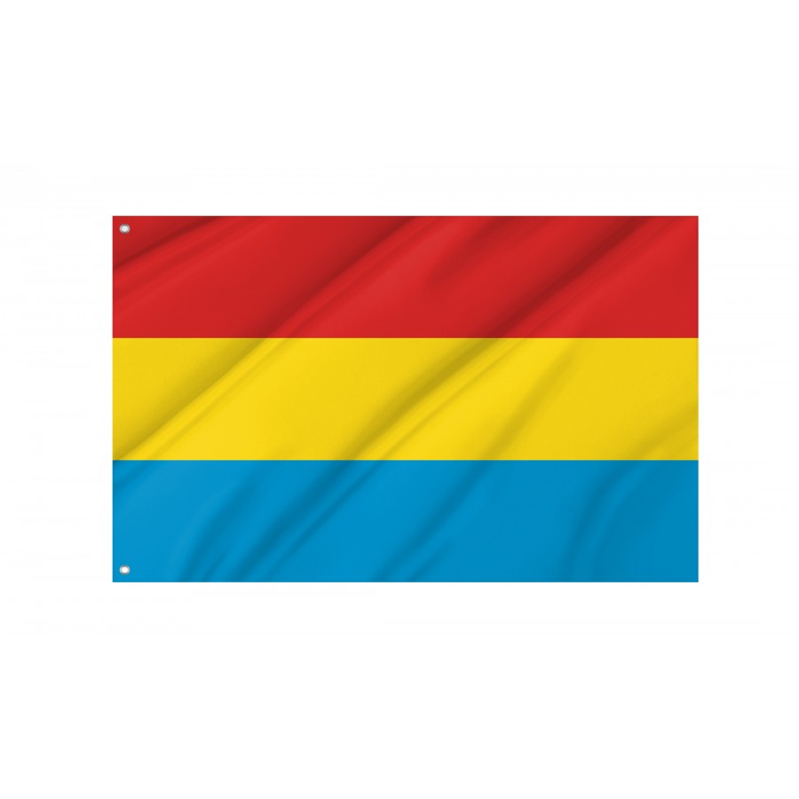 Flag Of Nasielsk, Patriotic Flags, Unique Design Print, Flags For Indoor & Outdoor Use - High Quality Poland for Indoor and Outdoor Use