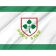 Flag of Nowy Staw, Patriotic Flags, Unique Design Print, Flags for Indoor & Outdoor Use - Imagine 2