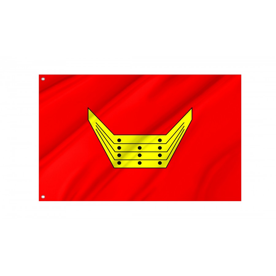 Flag Of Nowy Tomysl, Patriotic Flags, Unique Design Print, Flags For Indoor & Outdoor Use - High Quality Poland for Indoor and Outdoor Use