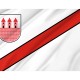 Flag of Przasnysz, Patriotic Flags, Unique Design Print, Flags for Indoor & Outdoor Use - Imagine 2