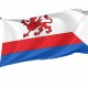 Flag of Pyrzyce, Patriotic Flags, Unique Design Print, Flags for Indoor & Outdoor Use - Imagine 1