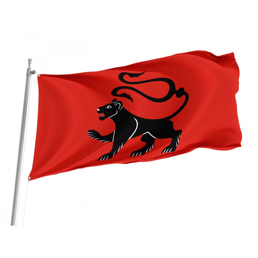 Flag Of Radlow, Patriotic Flags, Unique Design Print, Flags For Indoor & Outdoor Use - High Quality Poland for Indoor and Outdoor Use