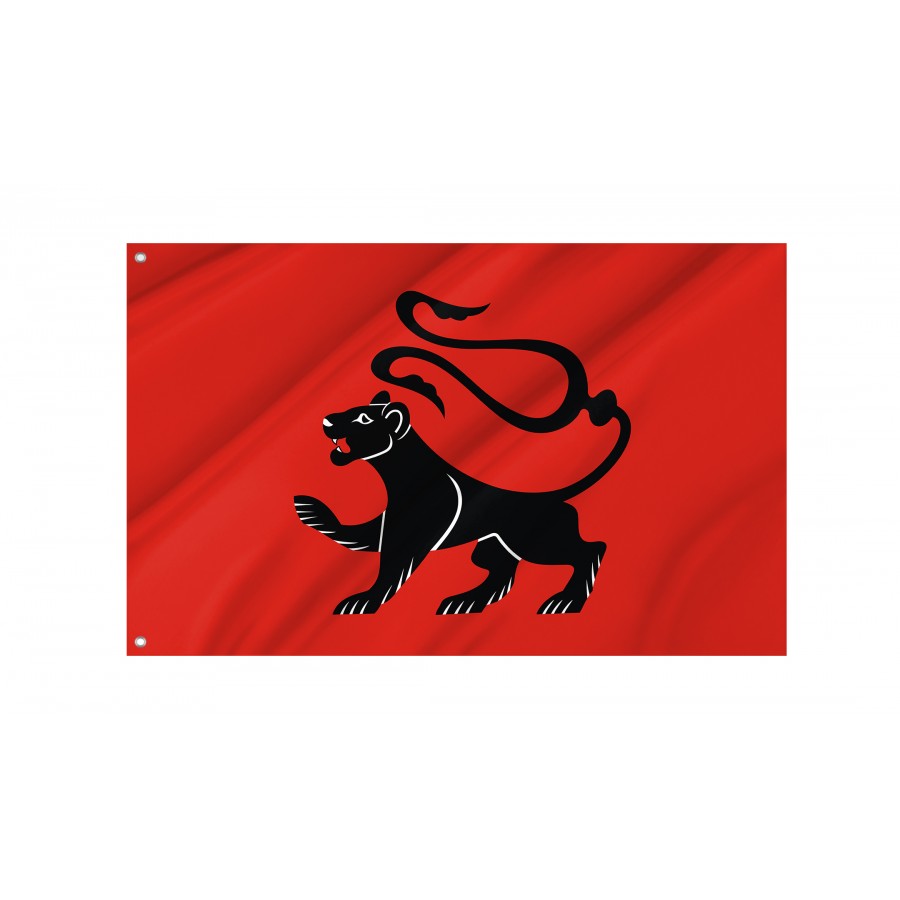 Flag Of Radlow, Patriotic Flags, Unique Design Print, Flags For Indoor & Outdoor Use - High Quality Poland for Indoor and Outdoor Use
