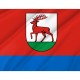 Flag of Rzepin, Patriotic Flags, Unique Design Print, Flags for Indoor & Outdoor Use - Imagine 2
