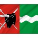 Flag of Sejny, Patriotic Flags, Unique Design Print, Flags for Indoor & Outdoor Use - Imagine 2